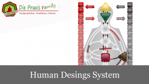 Human Desings System